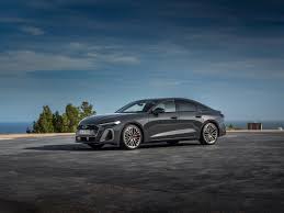 Image result for Argus Brown 2019 A5