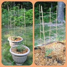 This twine gently holds the plants up and allows them to thrive. Bamboo Stakes And Twine Tomato Trellis Wrap The Twine Up And Around The Stakes Easiest Method I Have F Tomato Trellis Tomato Garden Gardening For Beginners