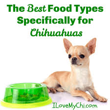 The chihuahua breed clocks in at a maximum of 6 pounds, making it one of the smallest breeds out there. The Best Food Types Specifically For Chihuahuas Dog Food Recipes Chihuahua Best Dog Food