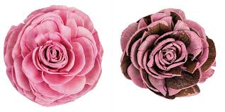 Image result for Dusty Rose 1962 Dart