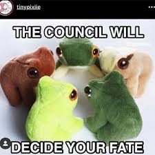 real life froggy chair real life froggy chair tyler tags frogs toads cute amphibians nature memes to frog meme cute frogs froggy