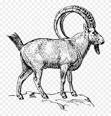 Shop our great selection of art coloring pages & save. Goat Clipart Ibex Ibex Coloring Page Free Transparent Png Clipart Images Download