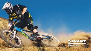 Giant Bike Wallpaper Mobile For Your Laptop Wallpaper Not Just Giant Bike Wallpaper Mobile Giant Bike Wall Giant Bikes Giant Bicycle Freeride Mountain Bike