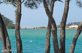 Nambucca Heads Bellwood Park Overseas Travel Park New South Wales