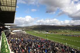 Cheltenham Festival 2020 Was Right To Go Ahead Says Bha Gloucestershire Live