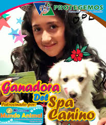 GrupoEditorialProtegemos (@Gprotegemos)