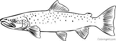 ✓ free for commercial use ✓ high quality images. Salmon Coloring Pages Coloringall