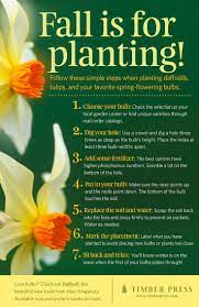 Workman Publishing Spring Flowering Bulbs Garden Bulbs Fall Plants