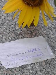 القلافة في دوار الشمس Farm Tableware Napkins