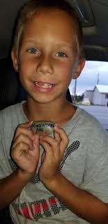 Conspicuous rock placement in Mariposa Park Boise