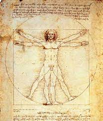 Sabemos que leonardo da vinci estaba muy interesado en la botánica y la anatomía humana. Leonardo Da Vinci Il Portale Dei Bambini