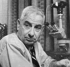 Werner Spitz, 'Medical Detective' in High-Profile Murders, Dies at 97