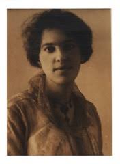 Profiles Collection: The Michael Heidelberger Papers