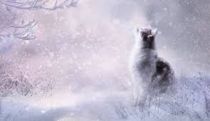 Cute Cat Fantasy Art Wallpaper Cat wallpaper hd, cute, kitty backgrounds 🐱😻. cute cat fantasy art wallpaper
