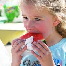 Northbrook Farmers Market opens for 18th season