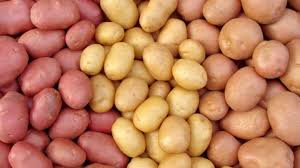 types of potatoes 3 main varieties what recipes theyre