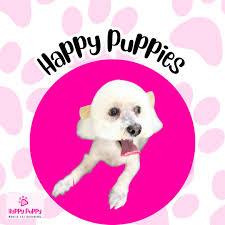 Air Bud wanted to say Happy Howl-O-Ween 🏀👻