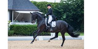 World number one isabell werth and her reigning world and european champion bella rose 2 earned 82.5%. Isabell Werth Achieves Premiere Score In Achleiten Horses Daily
