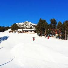 Kontakt oss for mer informasjon. Savalen Tynset Kommune Norway Favorite Places Outdoor Places