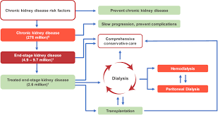 Get the facts, learn how it works, and what can be donated. Increasing Access To Integrated Eskd Care As Part Of Universal Health Coverage Kidney International