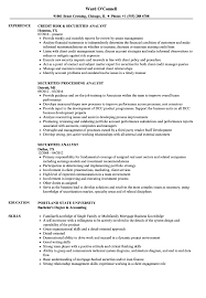 securities analyst resume samples