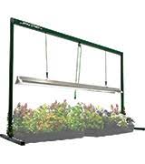 Maybe you would like to learn more about one of these? 5 Best Grow Lights Reviews Of 2021 Bestadvisor Com