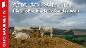 Inter is serie a champion. Chianina Aus Der Toskana Der Bistecca Klassiker Youtube