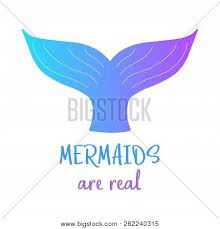 The most common mermaid tail drawing material is paper. Mermaids Are Real Colorful Mermaid Tail And Writing Vector Illustration Drawing Of Mermaid Tail In Blue And Violet Colors Isolated On White Background Poster Id 262240315