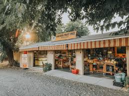 Weekend In Winters California Bay Area Weekend Getaway In 2020 Bay Area Weekend Getaway Northern California Getaways California Getaways