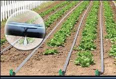 Maybe you would like to learn more about one of these? Arrosage Goutte A Goutte Guide Arrosage Et Pompage