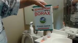 Termites and flying ants possess a very similar appearance, enough. How To Get Rid Of Termites For Good Using Borax Best Solution Do It Yourself Youtube