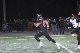 Mayer Lutheran heads to state football tournament