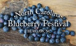 23rd Annual Blueberry Festival