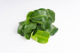 Translate daun limau purut to english online and download now our free translation software to use at any time. Photo Of Kaffir Lime Leaf Daun Limau Id 116928271 Royalty Free Image Stocklib