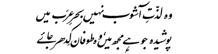 Allama Iqbal Poetry کلام علامہ محمد اقبال: (Zarb-e-Kaleem-047) Ae ...