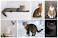 Image of What is the average lifespan of a house cat?