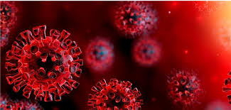 Learn more about current vaccine and antibody research. Wichtige Studienergebnisse Zu Corona Von Mai Bis Juli