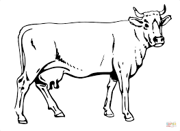 Rinder Ausmalbilder Ausmalbilder Rinder Malvorlagen Tiere Ausmalen Ausmalbilder