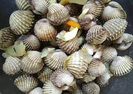 Resep Kerang Dara Bumbu Pindang Palembang Oleh Cyntia Ayuningrum Recipe Kota Palembang Resep Kerang Masakan