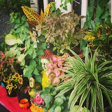 Indian Entryway Small Spaces Decorating Small Gardens Buddha Head Indoor Plants Indian Decor Small Gardens Decorating Small Spaces Indoor Plant Wall