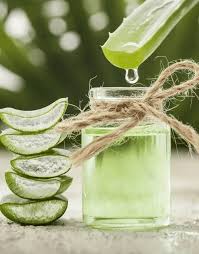 Aloe vera gel selber machen aloe vera creme selbst gemacht hier kostenlos abonnieren. Schone Und Leichte Rezepte Wie Sie Aloe Vera Gel Selber Machen