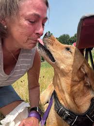 Lost dog found in Kittitas County