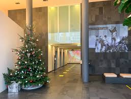 Decorating with beach christmas ornaments. Rural Didier Ruef Workshops