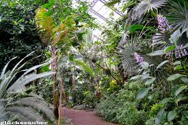 Gluckszauber 2 Tage In Jena Stadtbesichtigung Und Botanischer Garten