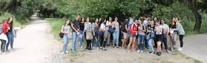 .35 , josé gomes 35 , marina vaquinhas 35 , carla carvalho 161 , lisete mónico 161 , nuno brito antónio ferreira 184 , beatriz araújo 200 , josé m. Jornal Da Praceta
