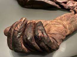 Ancient Irish bog king's brutal death and last meal revealed