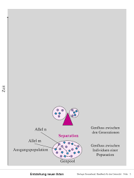 Durch geographische isolation, so entwickeln sich die populationen unterschiedlich. Ppt Evolution Powerpoint Presentation Free Download Id 5380325
