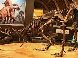 The Anatomy of Dinosaur Sex | Science| Smithsonian Magazine