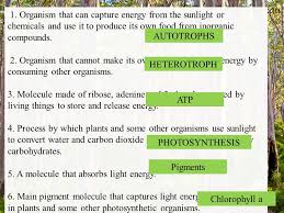 This is conceptually sound biochemistry as far as it goes. 1 Organism That Can Capture Energy From The Sunlight Or Chemicals And Use It To Produce Its Own Food From Inorganic Compounds 2 Organism That Cannot Ppt Download