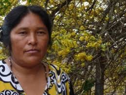 Investigaciones en Educ.Inicial